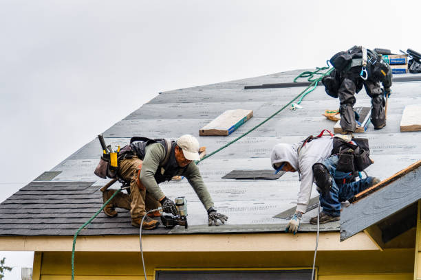 Professional Roofing technician working in Essex, MT